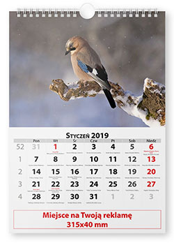 Kalendarium 5 - 13 planszowe na spirali - Ptaki