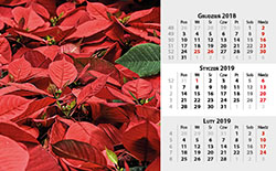 Kalendarium C - 13 planszowe na spirali - Kwiaty