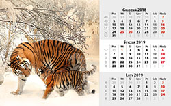 Kalendarium B - 13 planszowe na spirali - Zwierzęta