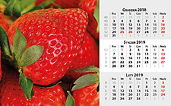 Kalendarium D - 13 planszowe na spirali - Owoce