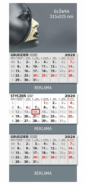 (315x830) - trójdzielny